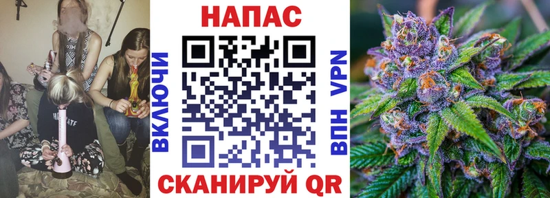 Магазины продажи наркотиков Сосновый Бор Alpha-PVP  Меф мяу мяу  ГАШИШ  Кокаин 