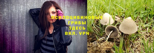шишки Шарыпово