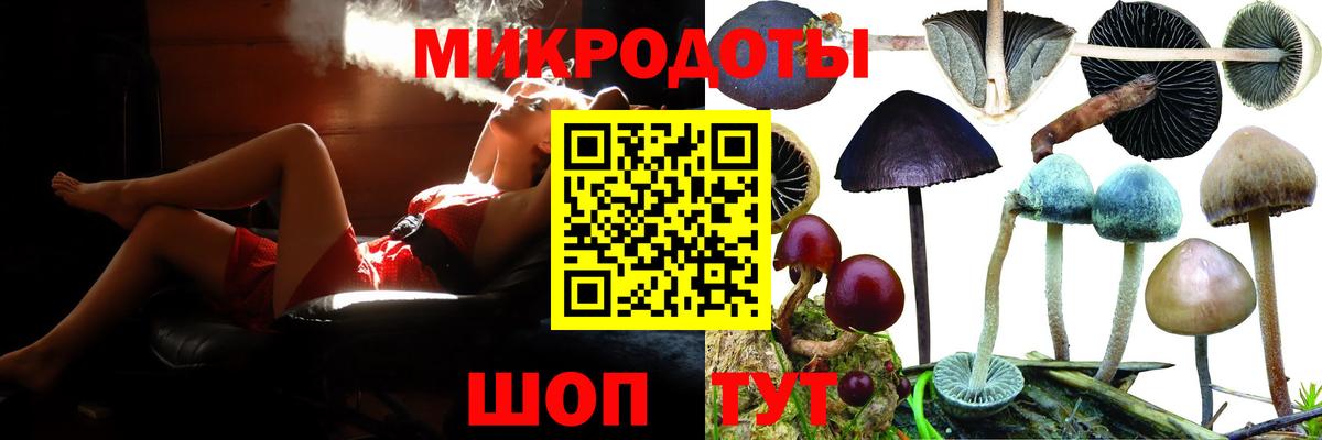 Сосновый Бор  Псилоцибиновые грибы Psilocybe  Вход с VPN 
