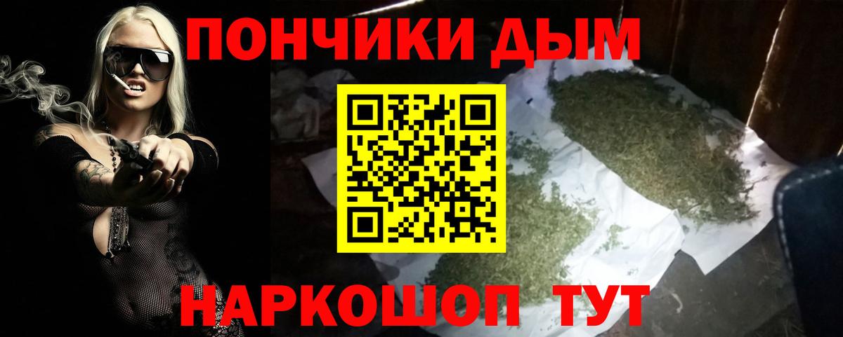 Бошки Шишки планчик Сосновый Бор
